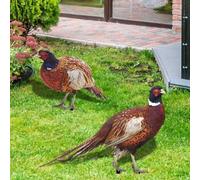 Lawn Pheasant Stake, Chicken Garden Ornaments Pheasant Garden Ornaments Outdoor Sign Rooster for Decorating Garden Yard (AB)