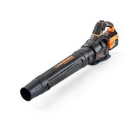 Lawnmaster Axial Leaf Blower With Mx 24V Battery & Charger - Cordless Leaf Blower, Garden Blower, Black, 2 Year Guarantee
