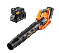 LawnMaster CLBL4016A Cordless Leaf Blower 40V Max with 2.0Ah,Battery Powered Leaf Blower Lightweight for Lawn Care, Leaves and Snow Blowing(Battery & Quick Charger)