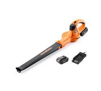 Lawnmaster Leaf Blower With Mx 24V Battery & Charger - Cordless Leaf Blower, Compact, Orange, 2 Year Guarantee