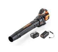 LawnMaster MX 24V Battery Powered Leaf Blower with Axial Fan, Powerful Cordless Garden Blower with MX 24V Lithium Ion Battery and Charger