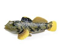 Lawnrden Animal Figures for Toddlers 1-3, Sea Animal Toys 4.3x1.4x2.2 Realistic Mudskipper Figures for Science Project & Cake Topper, Early Educational Sea Creatures Toys for Kids Toddlers