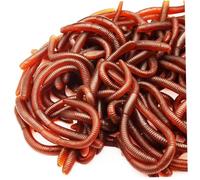 Lawnrden Earthworm Faux Trick Toy Plastic Soft Stretchy Realistic Earthworms Simulated Fishing Lures Baits for Halloween Decoration 60 Pieces | Worm Toy