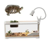 Lawnrden Fish Tank 15x8x8 inch Clear Plastic Turtle Tank Habitat Kit with Climbing Platforms and Light for Turtles and Aquatic Animals|Aquariums