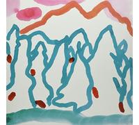Lawrence - Birds On The Dancefloor [VINYL]