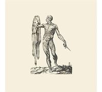 Lawrence English - Observation Of Breath [VINYL]