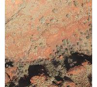 Lawrence English / Werner Dafeldecker - Tropic Of Capricorn [VINYL]