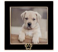 Lawrence Frames 4x4 Black Enamel on Gold Metal Frame - Dog Paw Print