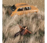LAWRENCE ROTHMAN: PLOW THAT BROKE THE PLAINS - LP vinyl BRAND NEW
