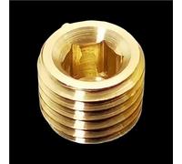 LAXALO Metric Male Thread Brass Internal Hex Socket Pipe Fitting, M8 to M22 Plug End Cap Adapter Connector 1pc(M8x0.75)