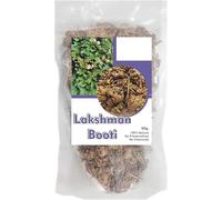 Laxman Lakshmana Booti 50gram- Raw Organic Selaginella Bryopteris, Herbal Solution Buti