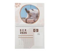 laxreheye Cat Butt Wall Calendar 2025, Funny Cat Butt Calendar, Funny Calendar, Monthly Wall Calendar, Cat Butthole Year Planner, 12 Month Calendar, Wall Planner 2025, Calendar for the