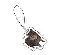 laxreheye Funny Mobile Phone Charm | Decorative Pendant for Backpack, Acrylic Keyring with Cat Dog for Teenagers Children, Siehe Beschreibung, Acrylic, See description