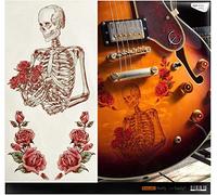 Layer Graph Stickers for Guitar & Bass - Memories In a Bouquet of Roses