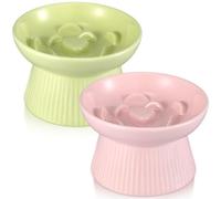 Layhit 2 Pack Raised Slow Feeder Cat Bowls Ceramic Elevated Cat Food Bowls Anti Vomiting Slow Feeder for Dog and Kitten for Dry and Wet Food(Green, Pink)