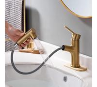 Laz Home Bathroom Sink Faucet Single Hole Bathroom Faucet with Pull Out Sprayer Modern Vanity Faucet, Bar Utility Sink Faucets (Brushed Gold, Regular)