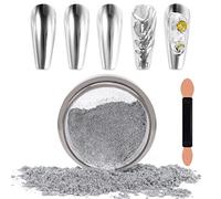 Laza Chrome Nail Powder Mirror Effect Metallic Dust Holographic Glitter Glazed Manicure Decoration Reflective Pigment for DIY Gel Polish Nail Art, Resin Craft, Gifts - Silver