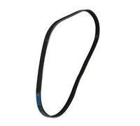 Lazer Electrics Main Drive Belt for Contitech Hop 5130544-00