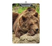 Lazy Chocolate Brown Bear A4 Acrylic Clipboard for Papers Writing Planner, Office Wall Mounted Large Capacity Organizer