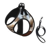 Lazy Dog Puppy Print Reflective No Choke Pet Vest Harness,Adjustable Soft Padded Dog Harness With Easy Control Handle