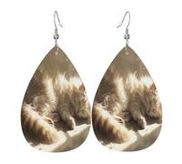 Lazy little cat under the sunshine Women's Teardrop Leather Earrings - Lightweight PVC Dangle Earrings, 925 Silver Hooks, Double-Sided Prints | Hypoallergenic Gift