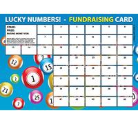 Lazy Snail 'Lucky Numbers' Fundraising Cards - Pack of 4 Cards - 45 Squares and Fun Golden Winner Envelopes to Raise Money for Charity - Full Colour Fund Raising Cards (4 Cards) (A4 x 4 Cards)