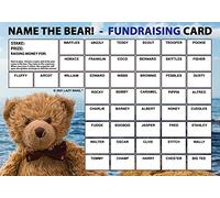 Lazy Snail ‘Name the Bear’ Fundraising Cards - Pack of 8 (A5 Size, 45 Squares per Card) - Fun Golden Winner Envelopes - Full Colour Charity Fundraising Game for Schools, PTAs & Community Events