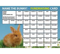 Lazy Snail 'Name The Bunny' Fundraising Cards - Pack of 8-45 Squares and Fun Golden Winner Envelopes to Raise Money for Charity - Full Colour Fund Raising Cards (8 Cards x A4)