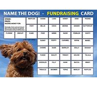 Lazy Snail 'Name the Dog' Fundraising Cards - 45 Squares - Fun Golden Winner Envelopes to Raise Money for Charity - Full Colour Fund Raising Cards (GoldenDoodle (A5) - 8 Cards)