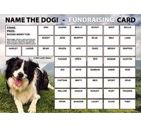 Lazy Snail 'Name the Dog' Fundraising Cards - 45 Squares - Fun Golden Winner Envelopes to Raise Money for Charity - Full Colour Fund Raising Cards (Border Collie (A4) - 8 Cards)