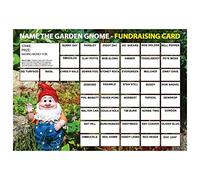Lazy Snail ‘Name the Garden Gnome’ Fundraising Cards Pack of 8 (A4 Size, 45 Squares per Card) Fun Golden Winner Envelopes Full Colour Charity Fundraising Game for Schools, Clubs & Community Events