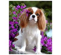 LBGMN 5D Cavalier King Charles Spaniel DIY Diamonds Paintings Mosaic Pictures by Rhinestones Embroidery Diamond Art Sticker