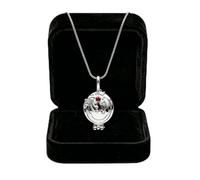 LBulexy The Vampire Family Crest Daylight Jewelry Daywalking Opening Vervain Locket Pendant Necklace with Classic Velvet Jewelry Box for fans