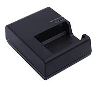 LC-E10E Quick Charger for Canon: LP-E10 LC-E10 LC-E10C Compatible 5108b002 Battery EOS 1100D 1200D 1300D 1500D 2000D 3000D 4000D kiss X50 X70 X80 X90 Rebel T3 T5 T6 T7 T100 DSLR Digital Camera black