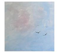 LCDIUDIU Hand Painted Oil Painting, Abstract Eagles Soaring In The Blue Sky Frameless Artwork Modern Canvas Wall Art for Living Room Office Home Decor 50X50Cm(20X20Inch)