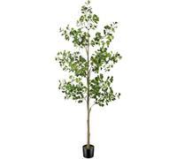LCHJX Exotic Dried Flower Bouquet 6/7FT Black Olive Tree, Spring Artificial Olive Trees with Fake Moss for Home Living Room Office Decor Porch Decoration, Bedroom Decoration, Dining Table(6ft)
