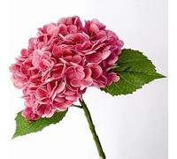 LCHJX Set of 5 3D Lifelike Hydrangea Flowers Real Touch Artificial Hydrangea Fake Flowers Gift for Home Party Decoration Wedding Arrangement