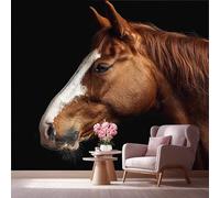 LCHMQ Wall MuralPortrait Horse HeadPhoto Wallpaper ModernDark Profile ViewCovering Home Office Decor Art Print 250x175cm