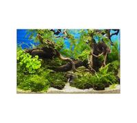LCKKJHG Fish Tank Background Aquarium Background Sticker Poster Plant Fish Tank Decoration Self Adhesive Wallpaper(54x122cm)