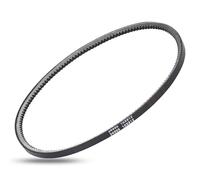LCMLA 24995 Reverse Belt Compatible with Earthquake Victory Rear Tine Tillers Replace 24598, 29409, 29702, 33970 Tiller Drive Belt
