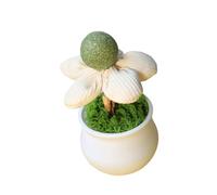 Ldabrye Catnips Ball Potted Plant Toy Flower Pots Shape Cats Chewing and Playing Entertainment Teaser for Fun Flower Pots