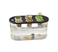 Ldabrye Multiple Use Water Culture Box for Hydroponic Tulips Bean Succulents and Various Plant in Homes Gardening Transparents Growers