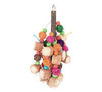 LDAUYZLING Bird Corn Cobs Toy Colorful Beak Grinding Parrot Climbing Chewing Toy with Hook for Cockatiels Budgies Macaws