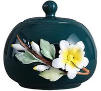 LDCBFTR Cemetery urns for Ashes Pet Cremation Urns Pet Cinerary Casket Ceramics Casket Cremation Medium Size Dog Cats Keepsake(Color:Green)