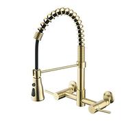 LDCBFTR Kitchen Faucet with Sprayer, Wall Mounted Kitchen Faucet Brass, Pull Out Kitchen Faucet, Flexible Kitchen Mixer Faucet, Modern Kitchen Sink Faucet Two Handle,Brushed Gold WFJ