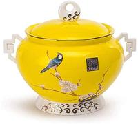 LDCBFTR Mini Cremation Urns Pet Funeral Urn for Adult&Pet Ashes，Human Medium and Large Memorial Urns ashes casket (Color : Yellow, Size : 22cm*16.5cm)