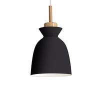 LDCBFTR Single Head LED Chandelier, Wrought Iron E27 Creative LED Pendant Lights, Bar Cafe Modern Living Room Bedroom Lighting Hanging Lamps (Color : Black)