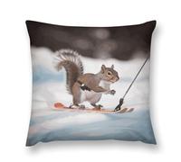 LDGSUPH Skiing Squirrel Pillowcases with Zipper Removable Plush Throw Pillow Covers Soft Pillow Cases Luxury Pillow Protector Cushion Covers for Bed Sofa Car 20 "x20