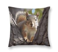 LDGSUPH Squirrel in The Tree Pillowcases with Zipper Removable Plush Throw Pillow Covers Soft Pillow Cases Luxury Pillow Protector Cushion Covers for Bed Sofa Car 26 "x26