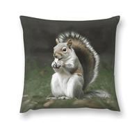 LDGSUPH Squirrel Pillowcases with Zipper Removable Plush Throw Pillow Covers Soft Pillow Cases Luxury Pillow Protector Cushion Covers for Bed Sofa Car 18 "x18